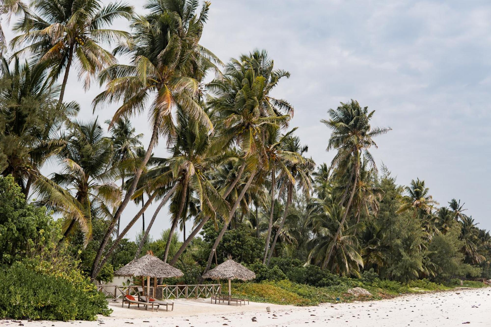 Kima Serviced Beach House & Suites Bwejuu Kültér fotó
